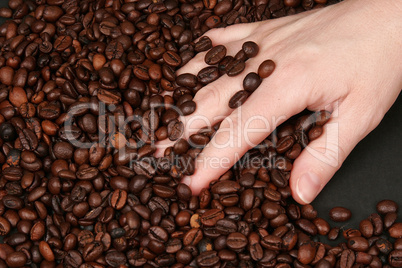 Hand in Kaffeebohnen