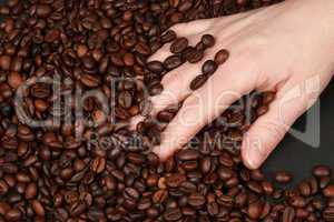 Hand in Kaffeebohnen