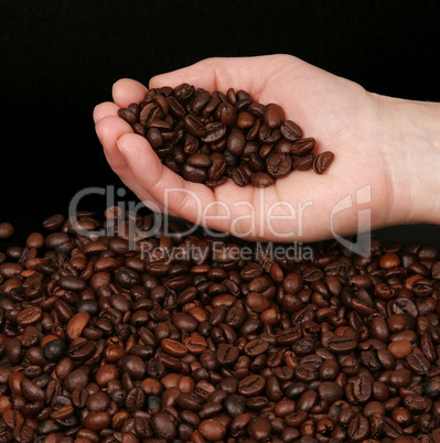 Kaffeebohnen in Hand