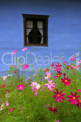 Fenster in blauer Wand