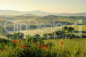 Toskana Huegel  - Tuscany hills 18