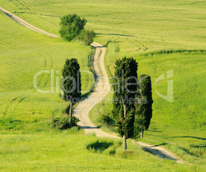 Toskana Huegel  - Tuscany hills 21a