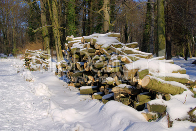 Holzstapel im Winter - stack of wood in winter 09