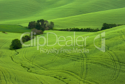 Landschaft in der Toskana, Italien - Landscape in tuscany, italy