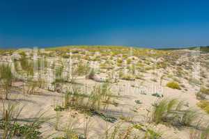 Dünen am Atlantik, Frankreich, Europa