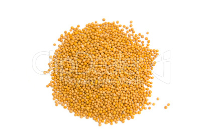 Senf (Sinapis). Senfkörner - Mustard seeds