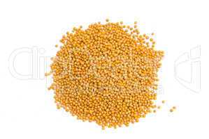 Senf (Sinapis). Senfkörner - Mustard seeds