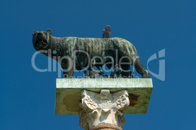 Kapitolinische Wölfin mir Romulus und Remus am Dom zu Pisa, Toskana