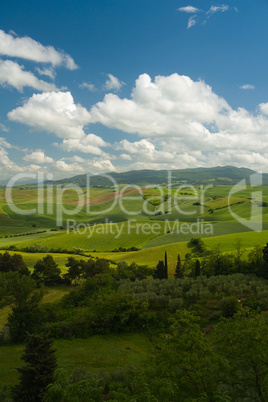 Landschaft in der Toskana, Italien - Landscape in tuscany, italy