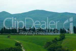 Landschaft in der Toskana, Italien - Landscape in tuscany, italy