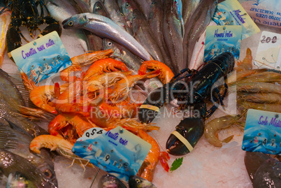 Meeresfrüchte - Seafood