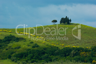 Landschaft in der Toskana, Italien - Landscape in tuscany, italy