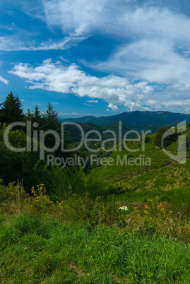 Vogesen Landschaft - Landscape in the Vosges Mountains