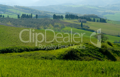 Toskanische Landschaft Toskanische Landschaft