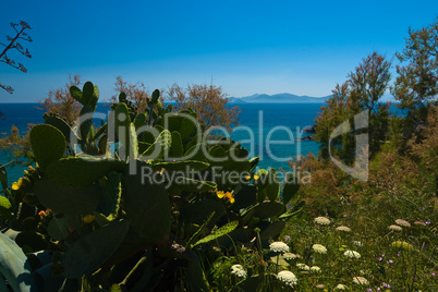 Meerblick bei Piombino/Elba - Seaview at Piombino/Elba