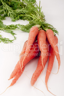 Beam carrots