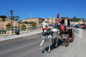 Pferdekutsche auf Malta