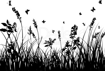 meadow silhouettes