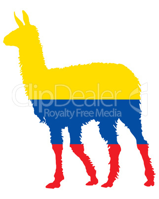 Lama Ecuador
