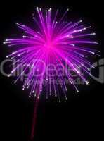 Festive purple fireworks at night