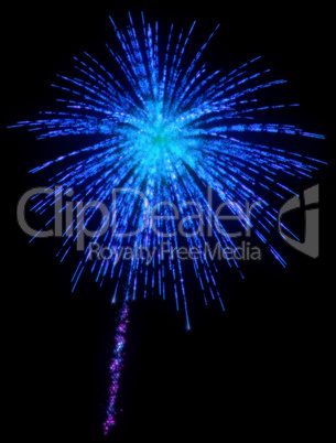 Celebration - festive fireworks at night