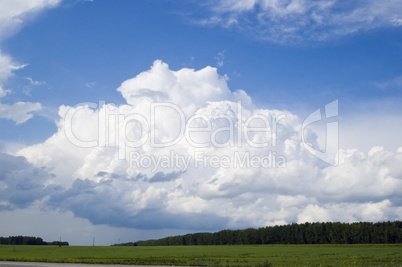 Cloudscape over forest