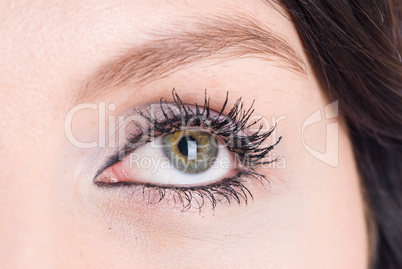 Woman eye