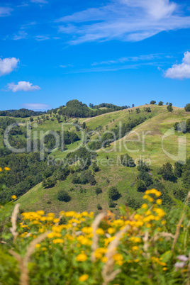 Summer in Apuseni