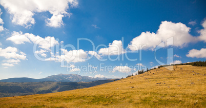 Autumn landscape in Retezat