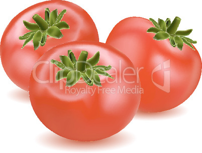 Tomaten