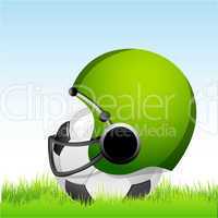 football with helmet on grass