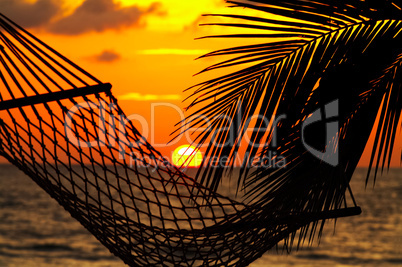 palm, hammock and sunset