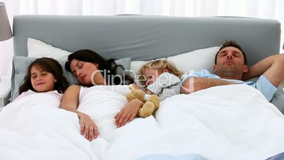 Familie in einem Bett