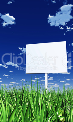 Blanko Schild im Gras 02