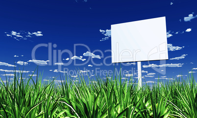 Blanko Schild im Gras 03