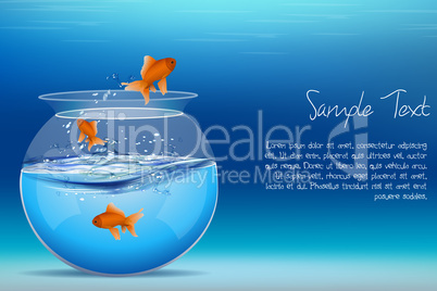 fishes jumping out of tank