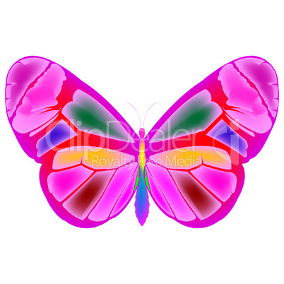 butterfly 4