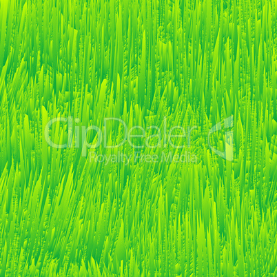 fresh grass texture