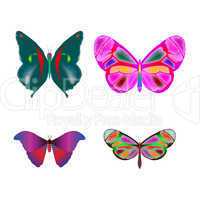 butterflies collection (only jpeg)