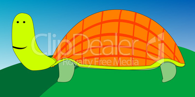 turtle cartoon drawing