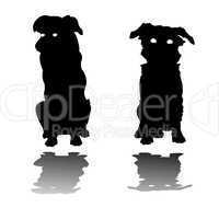 two little dogs silhouettes