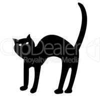black cat isolated on white vector