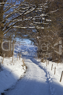 Winterspaziergang