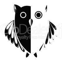 Vector stylized owl, background illustration