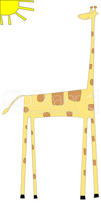 giraffe