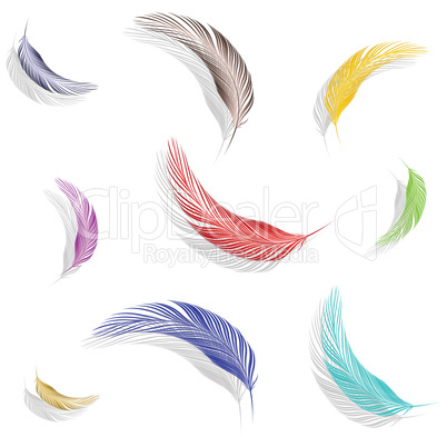 colored feathers collection