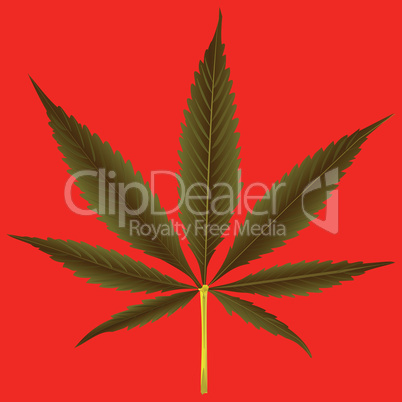 cannabis leaf against orange background