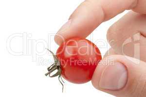 Small red tomato