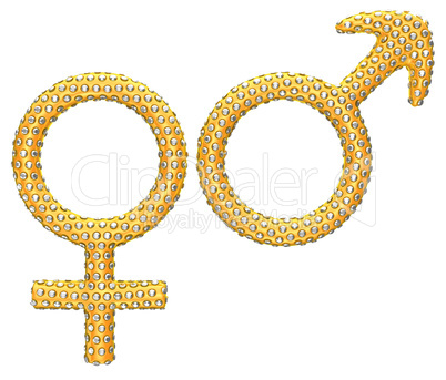 Golden gender symbols incrusted with gems