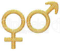 Golden gender symbols incrusted with gems